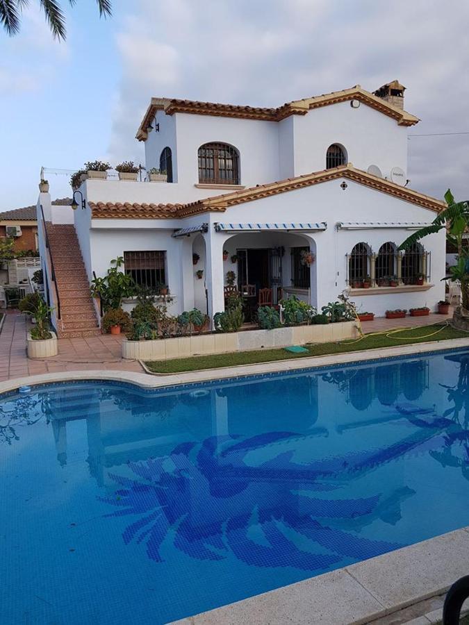 Mediterranee Blanca *