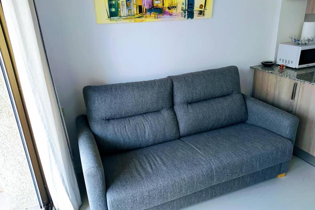 Magnifique Logement Roses