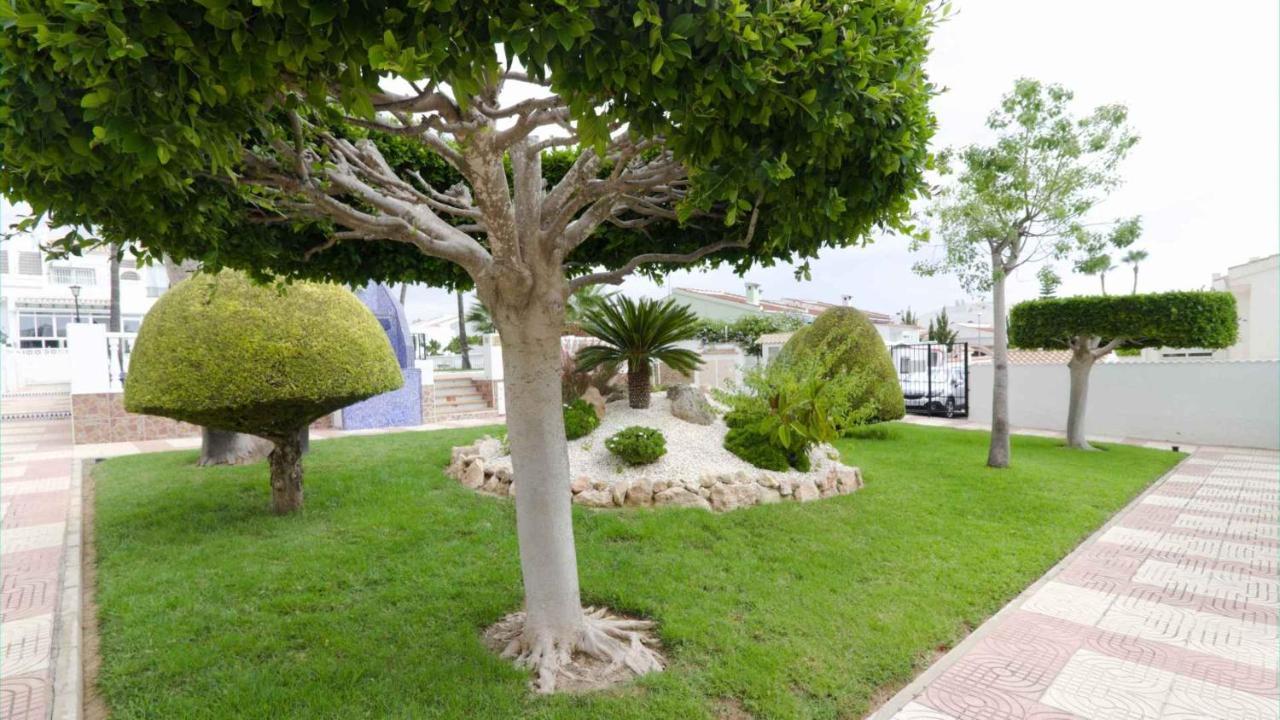Casa Linda Apartamento