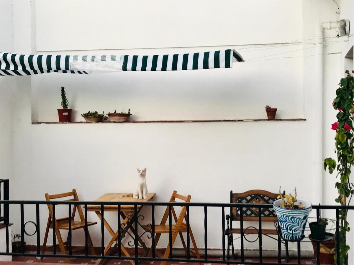 La Morada Sur Habitación en casa particular