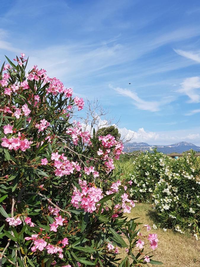 Mediterranee Blanca Bed & Breakfast Cambrils
