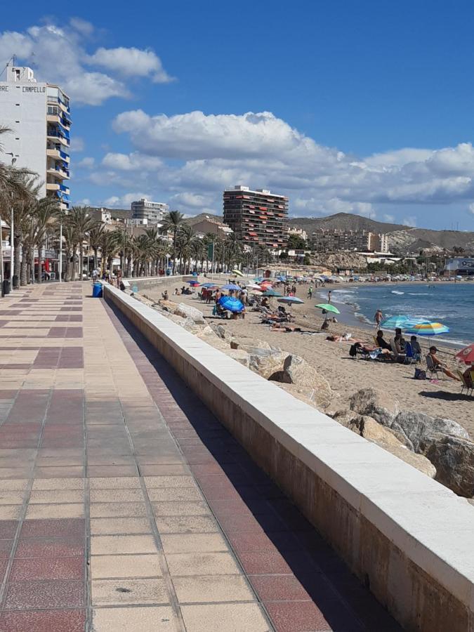 Dominique Gaspar El Campello
