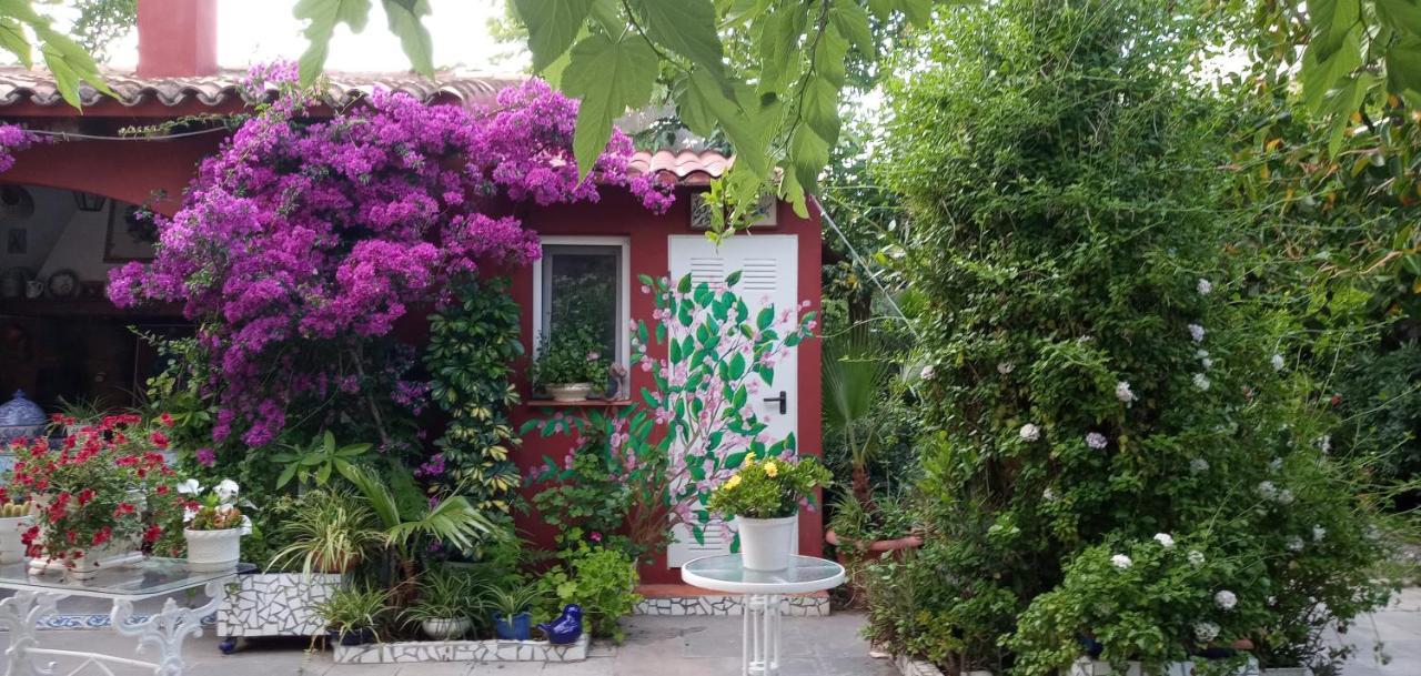 Casa Con Jardin Frente Playa De * Burriana