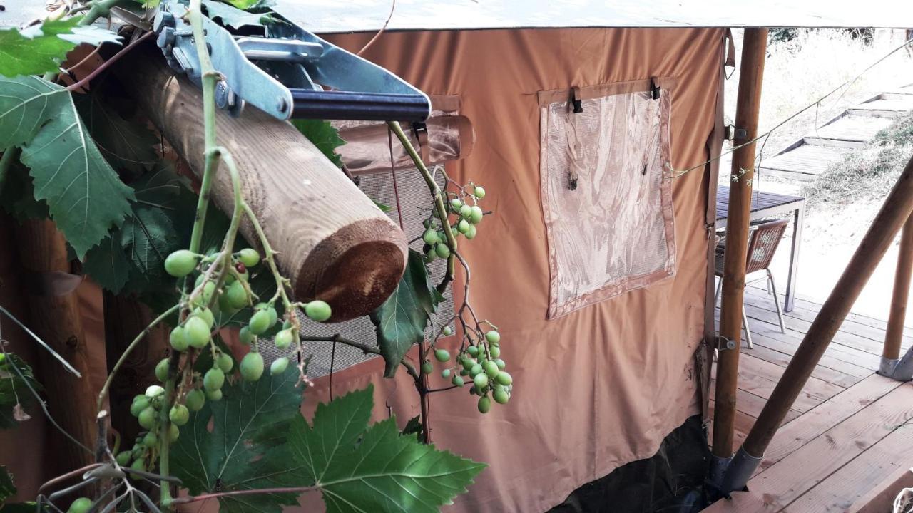Campo Agave Luxury Tents Luxury tent Sayalonga