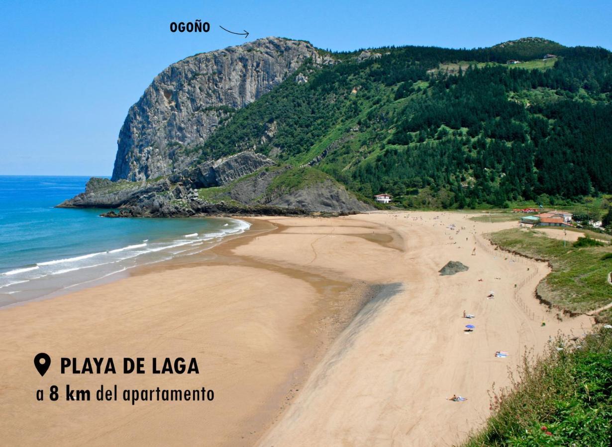 Urdaibai Apartament Ea