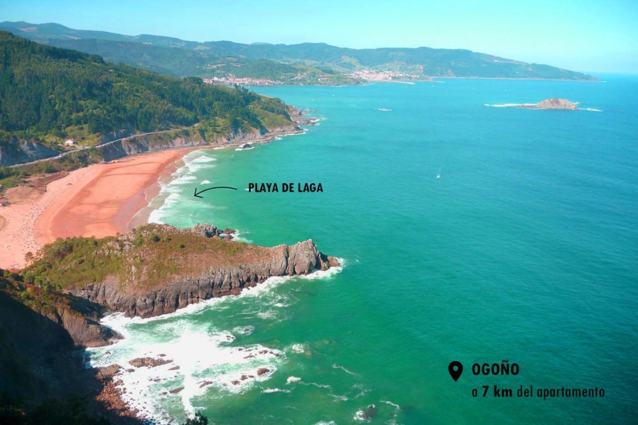 Urdaibai Apartament Apartment *