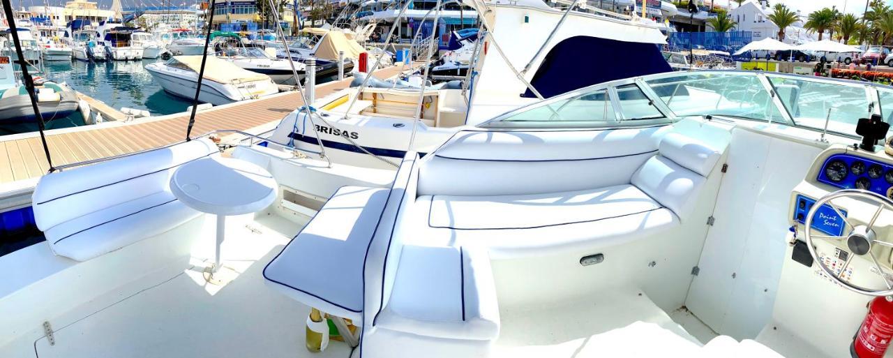 Barco Pita - Amarilla Marina