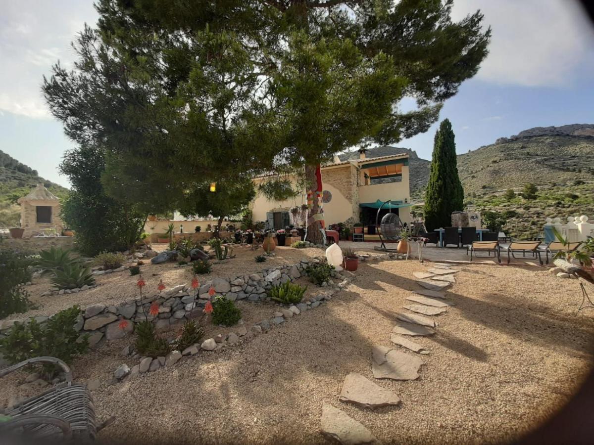 Casa Pura Vida Bed & Breakfast
