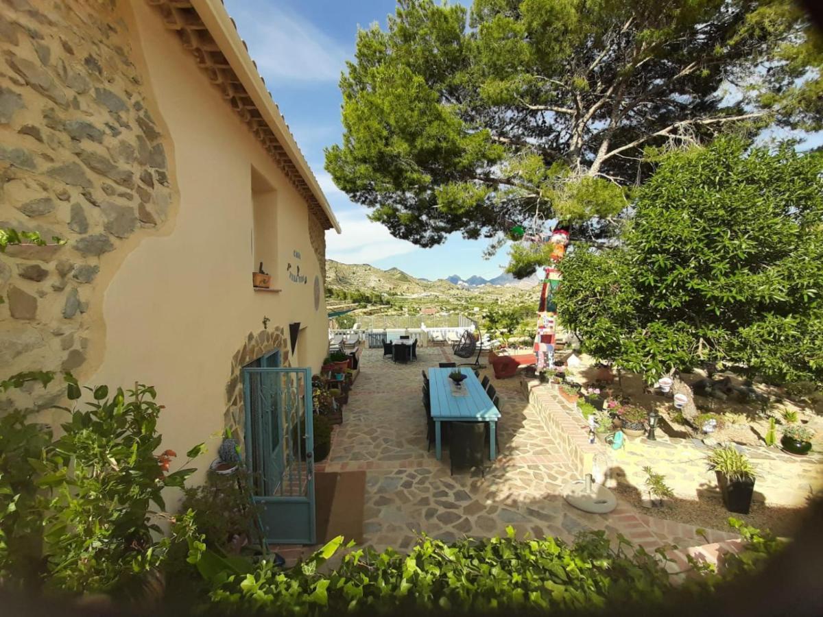 Casa Pura Vida Bed & Breakfast