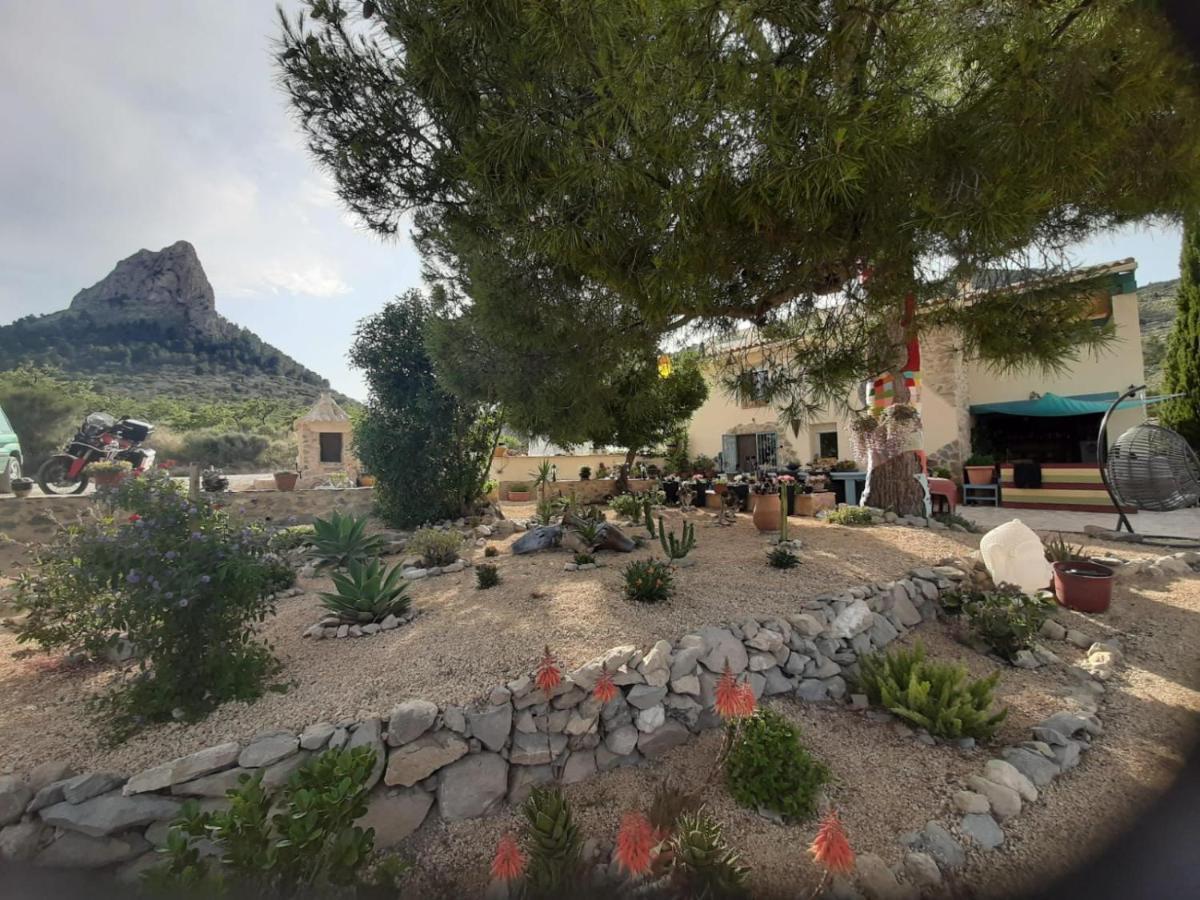 Casa Pura Vida