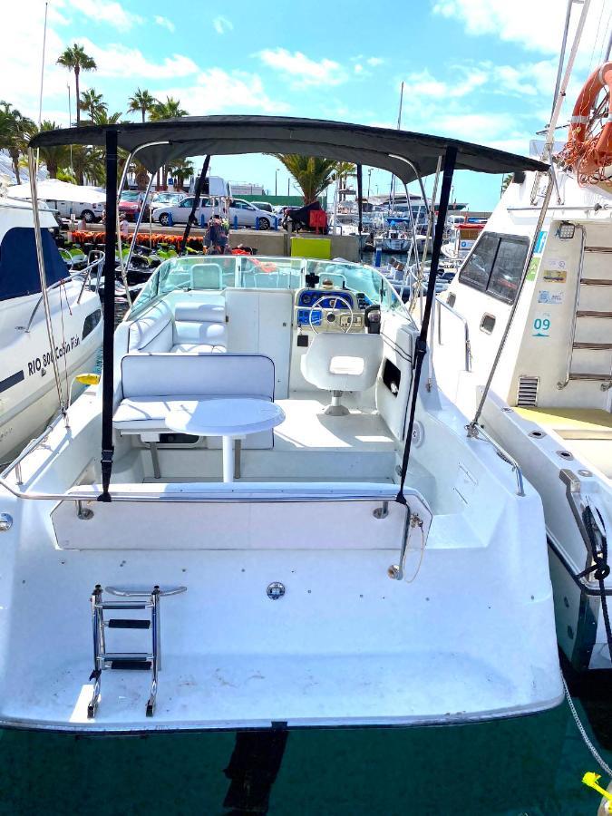 Barco Pita - Amarilla Marina *