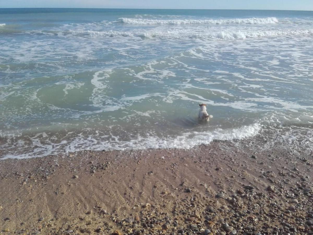 Apartamento Blanc Mar