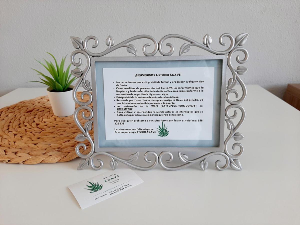 Studio Agave Apartment