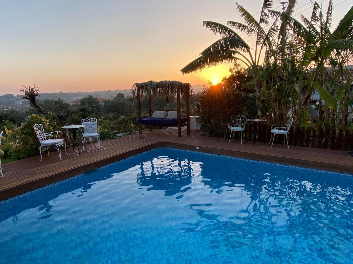 Paradise 1917 - Adults Only 2* Altea