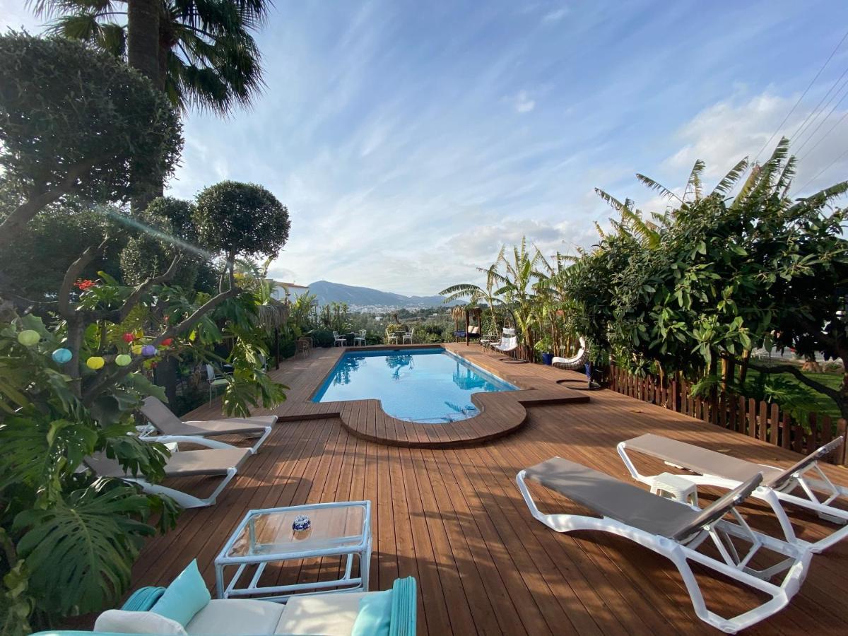 Paradise 1917 - Adults Only Altea