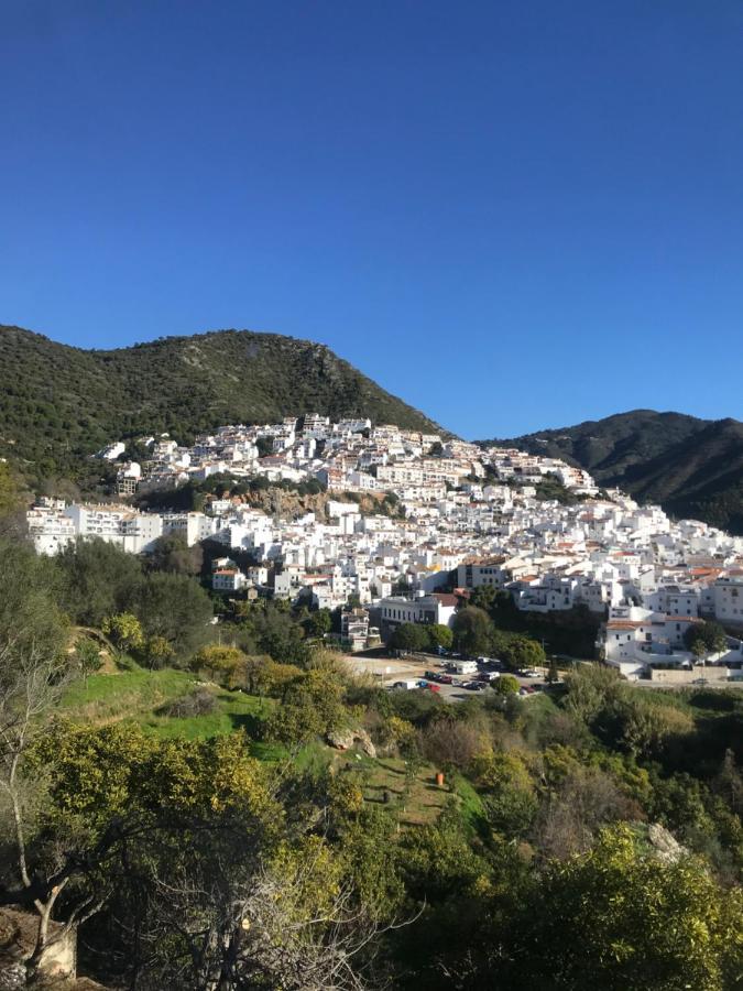 Apartment En Algun Lugar Del Mundo La Cala De Mijas