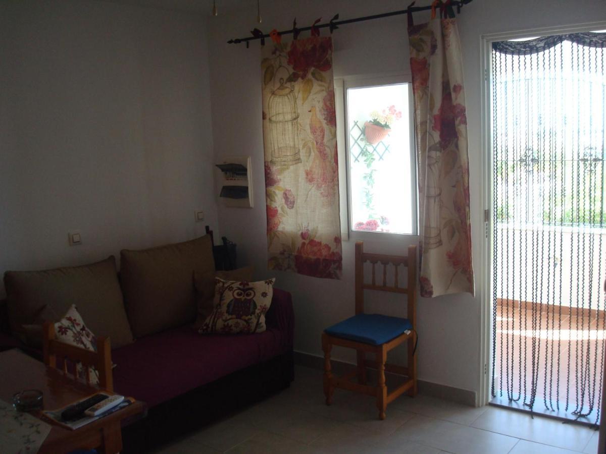 Holiday home Impressive In Ground Floor With Terrace Of 2 Rooms, A A And Pool 3
