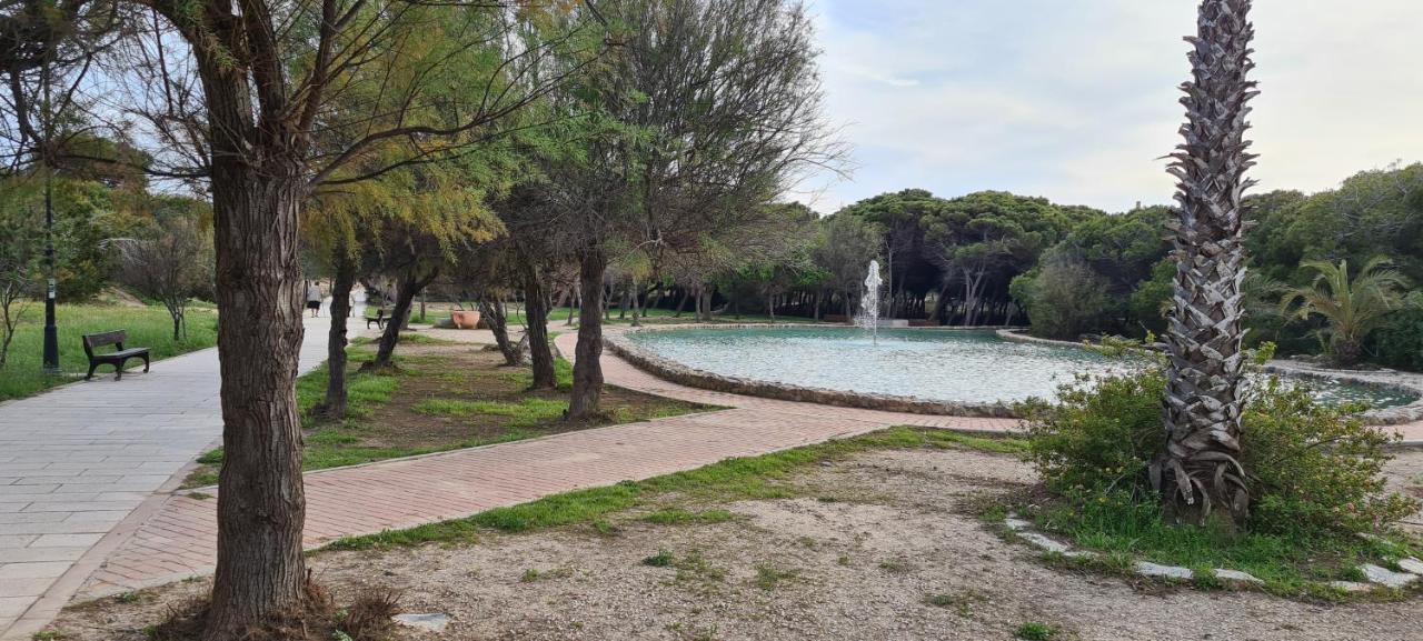 Sofia La Mata Apartamento *