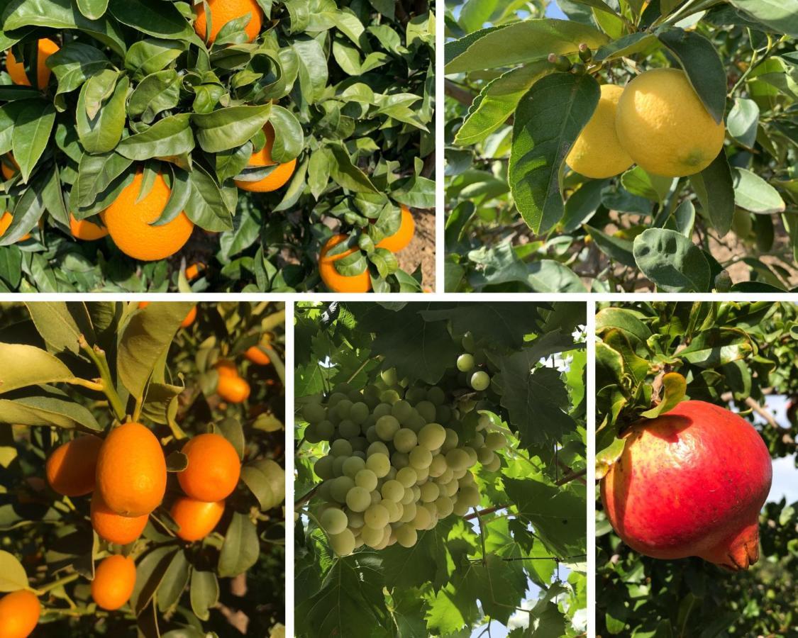 Сasa de vacaciones Casa Grande / Rosas Cantares Pizarra