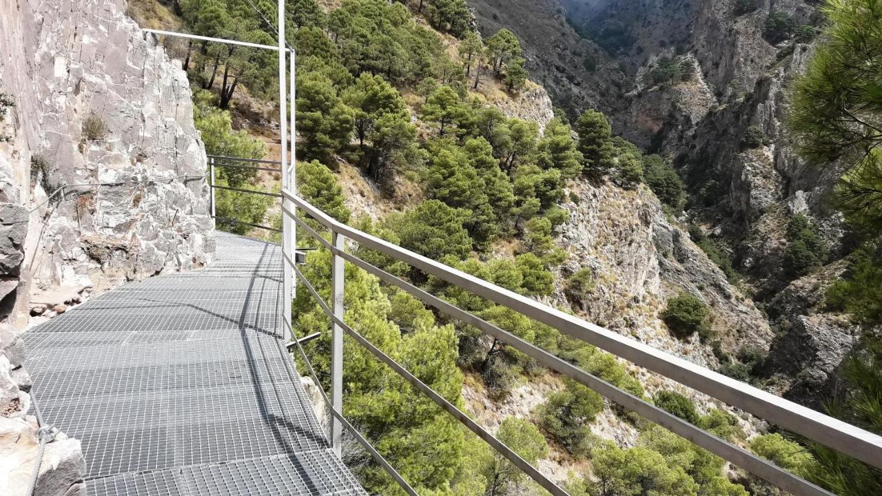 Campo Agave Luxury Tents Luxury tent *