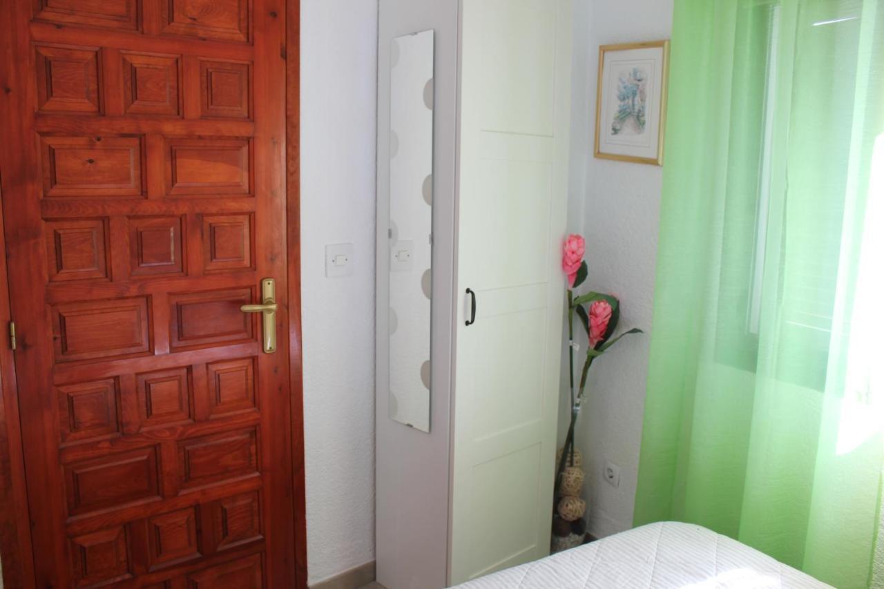 Oasis Park Apartment