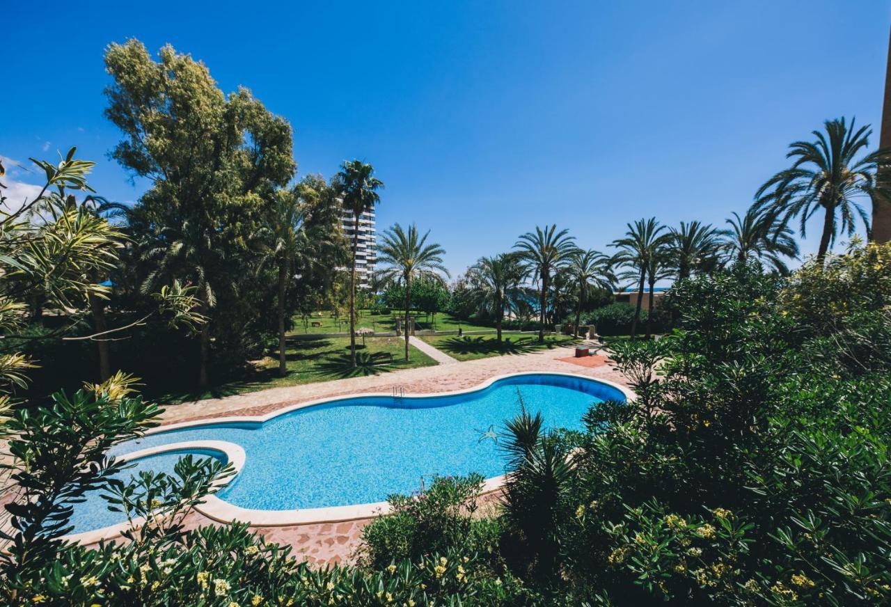 Glp Raspeig Dreamsea El Campello