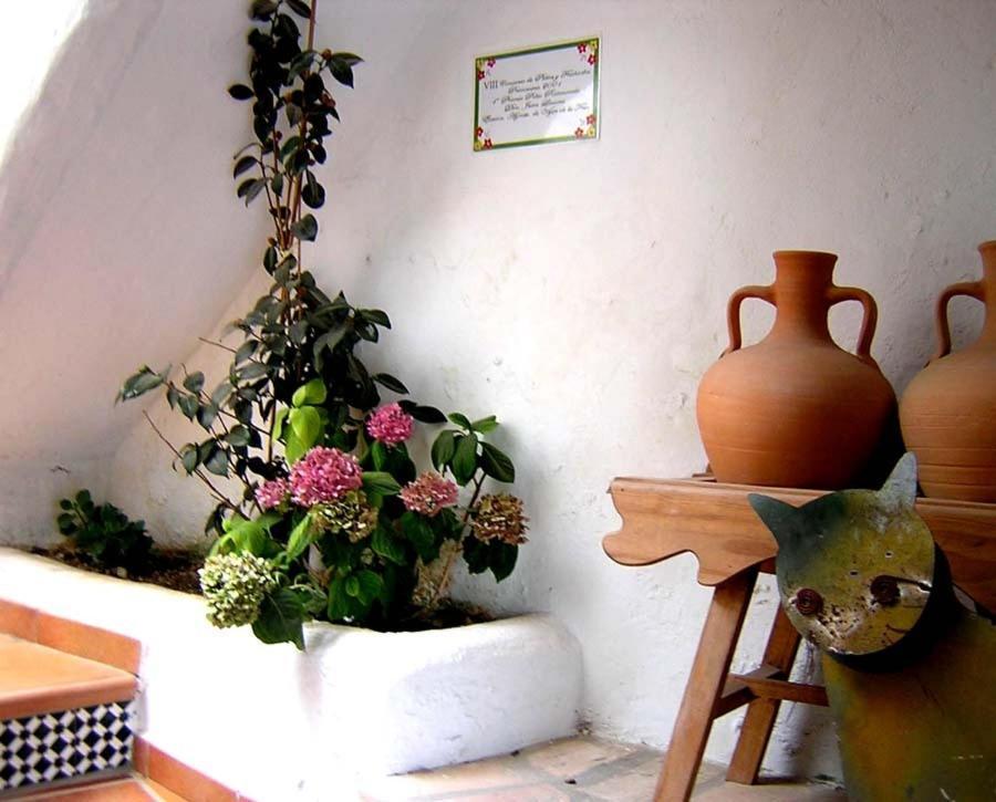 Pensión El Cobijo De Vejer