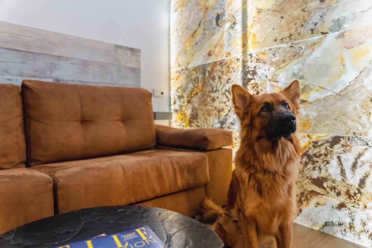 Cosmopolitan Boutique Rambla Guest house