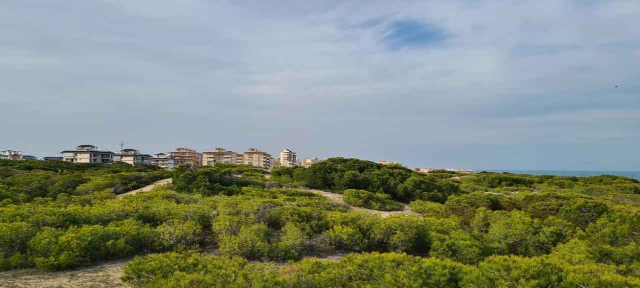 Sofia La Mata * La Mata (Torrevieja)