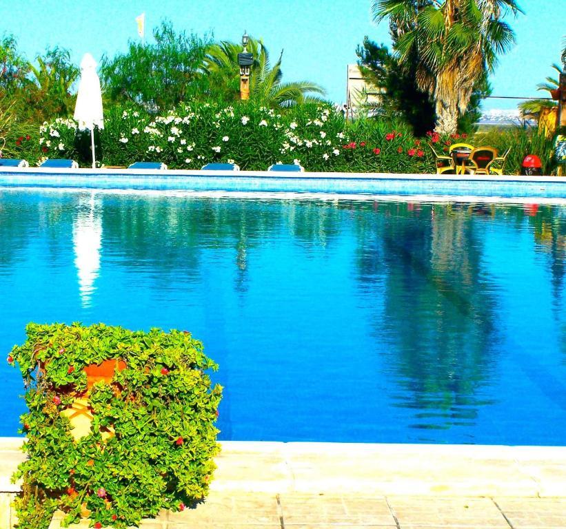 El Rancho Montesinos - Torrevieja