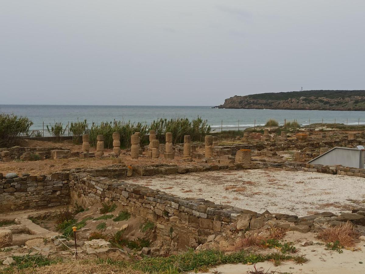 Casa Tarifena *