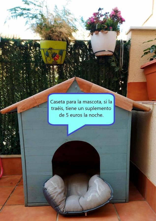 Habitación En Torrecardenas, Privada Con Piscina Pensión *