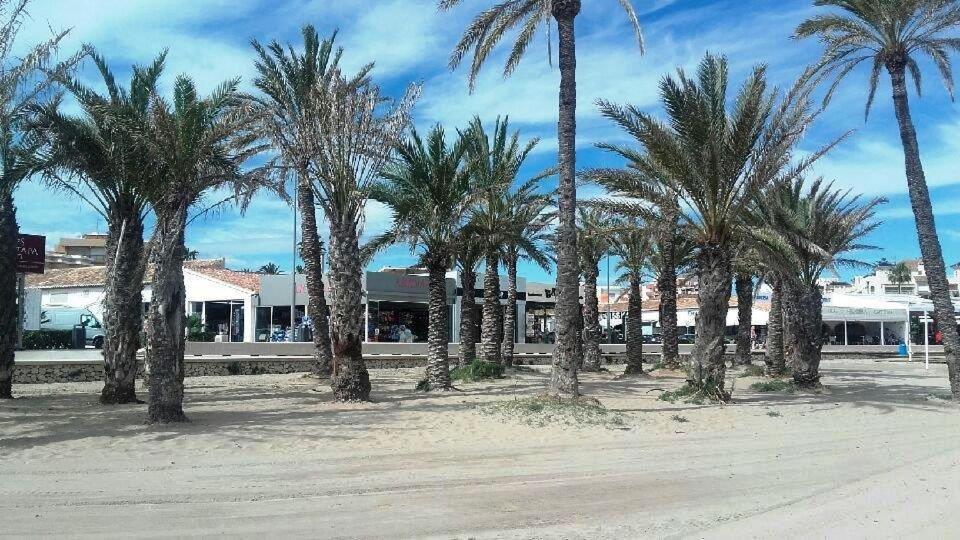 Apartamento Park 6-32 *