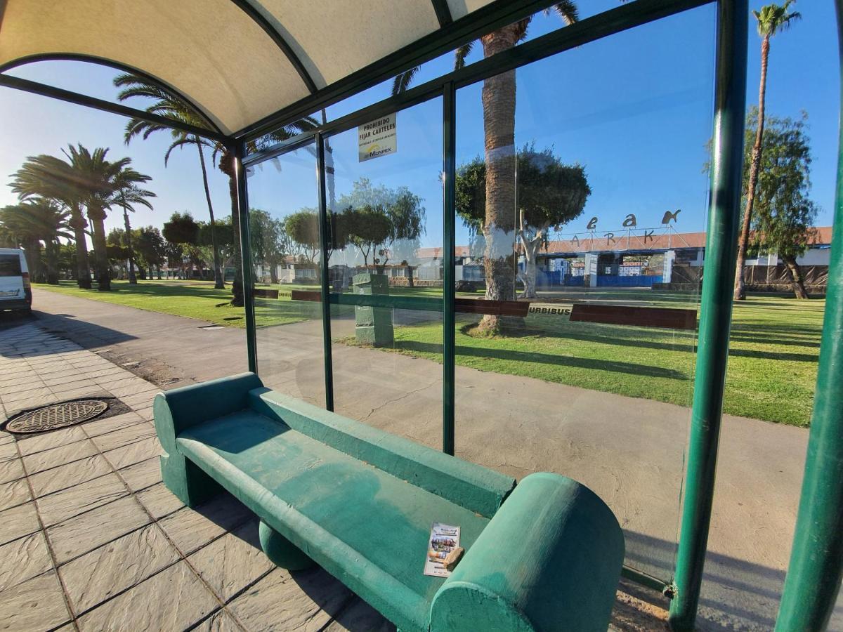 Pool & Wifi Free Shared Flat Private By Ocean Park * Maspalomas (Gran Canaria)