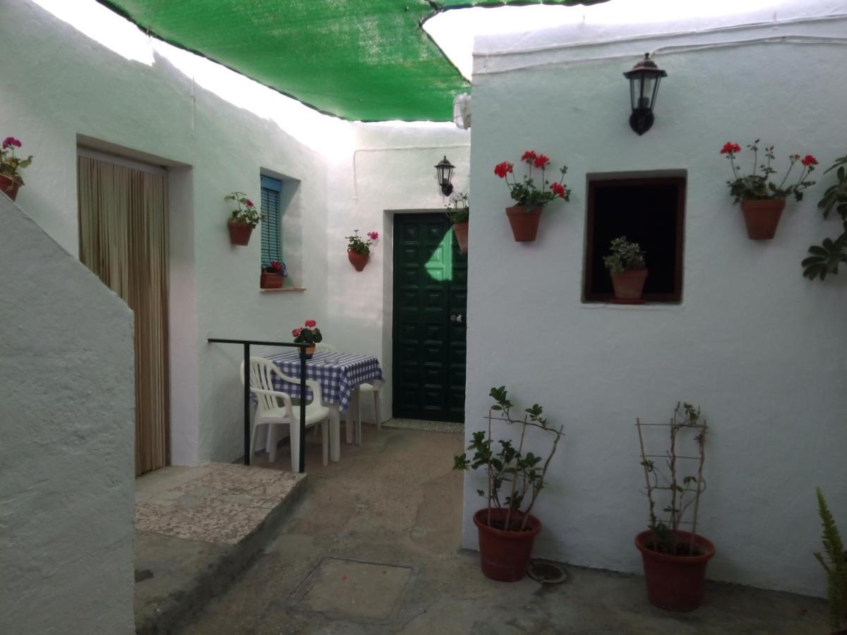 Bed & Breakfast Magallanes