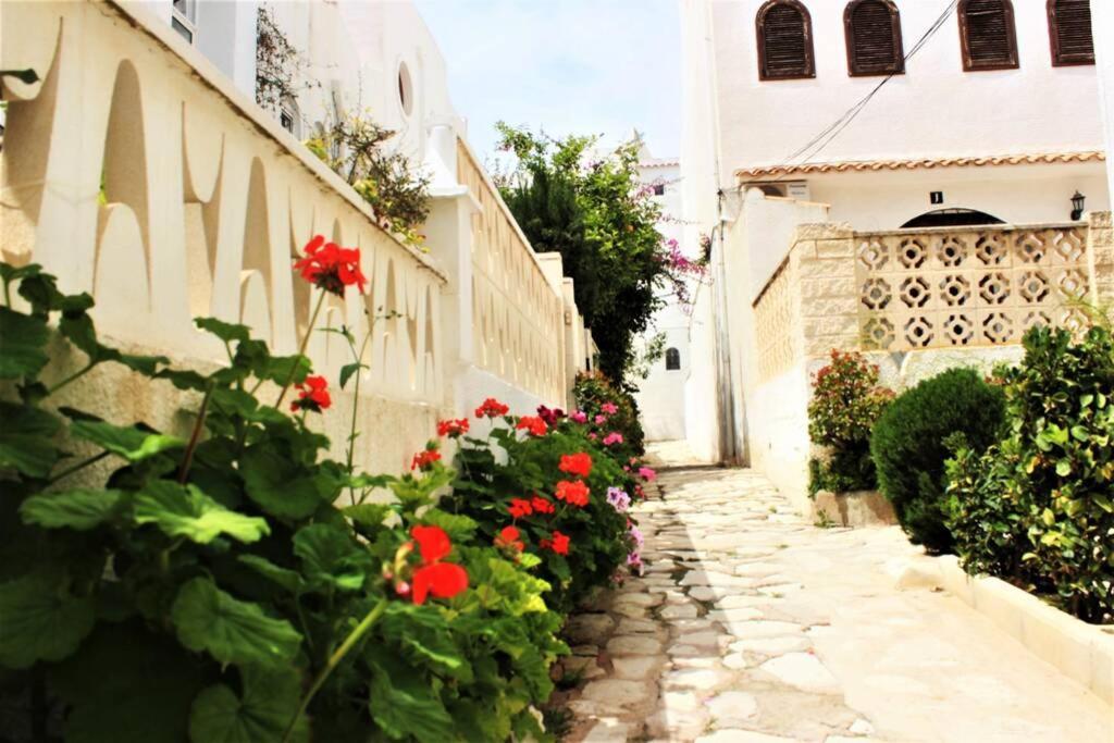 Apartment Beautiful Air Conditioned - Alkabir