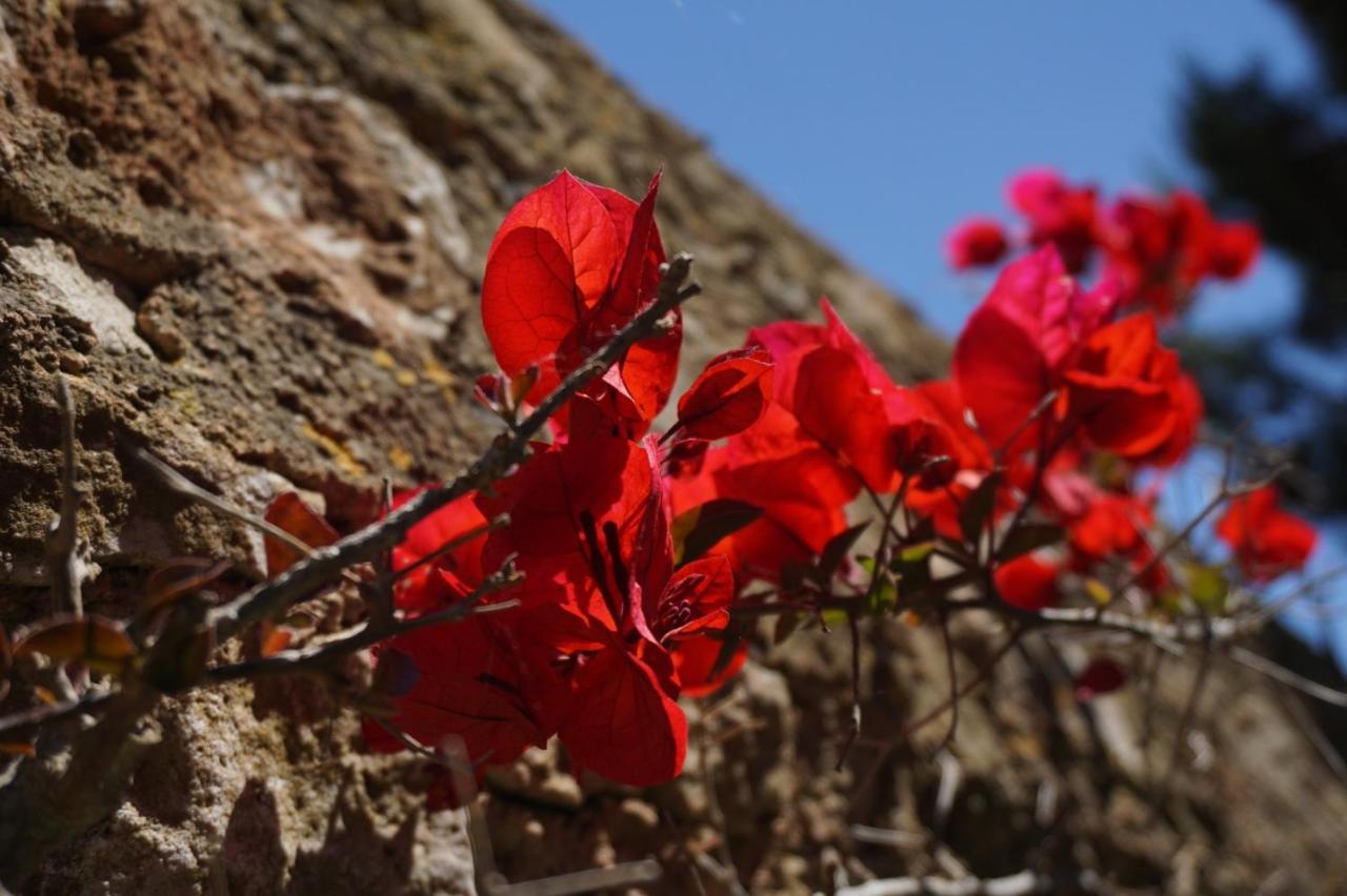 Sa Pletassa Agroturismo Fenalitx (Fenalich)