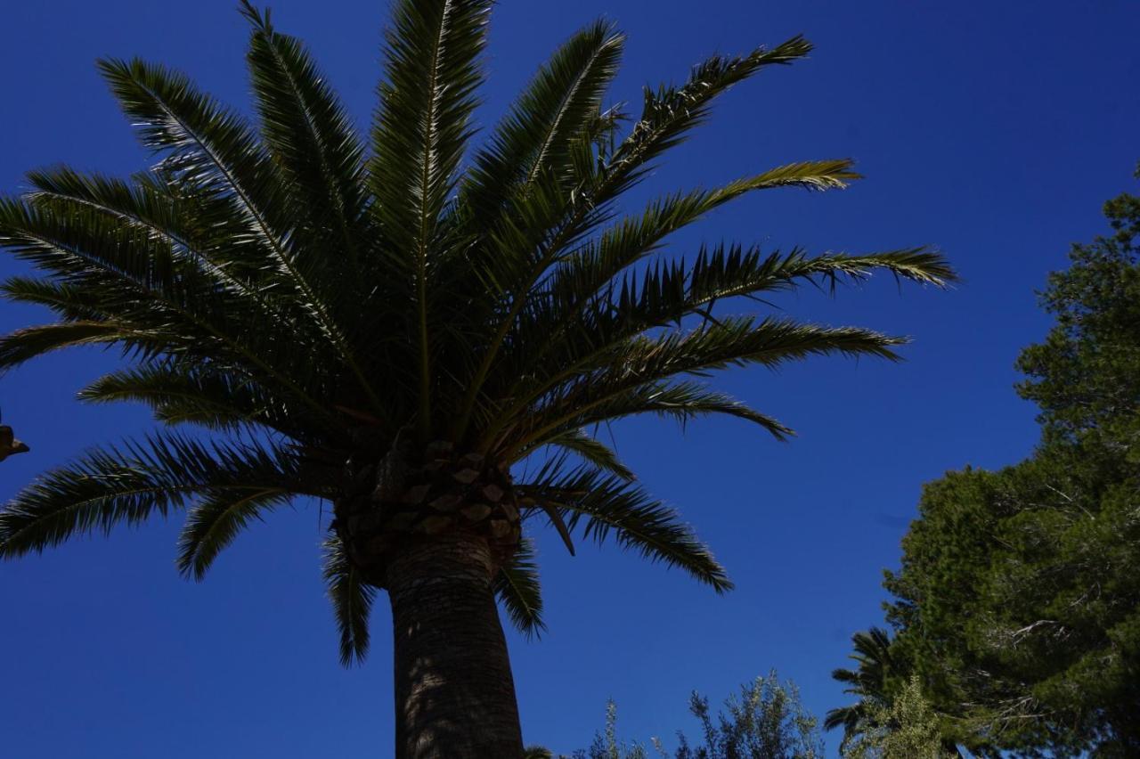 Agroturismo Sa Pletassa