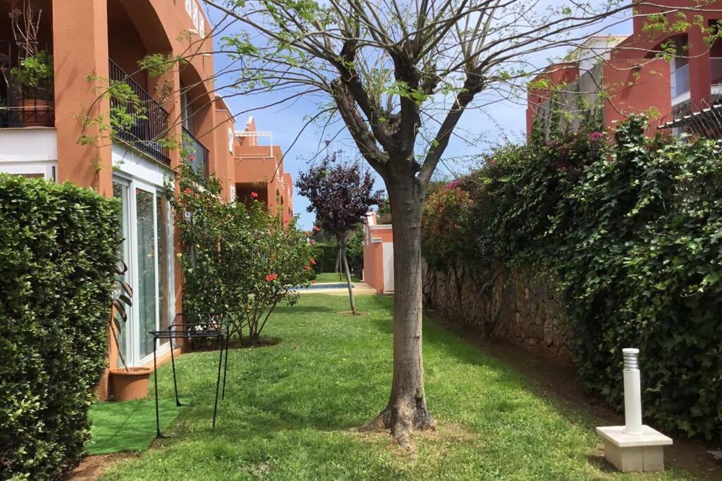 Apartment Apartamento Elsy Denia