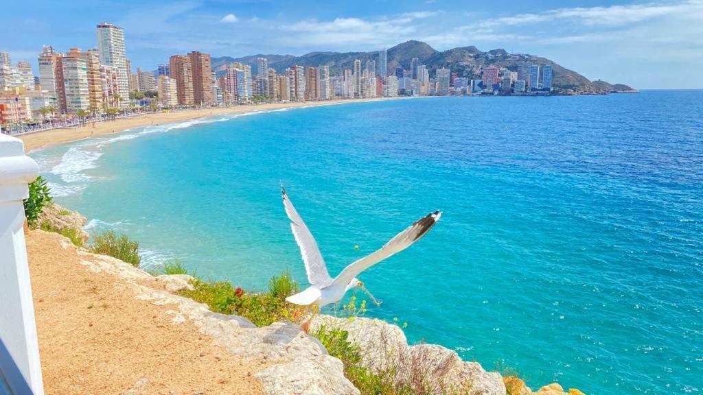 Agua View Luxe Apartamento