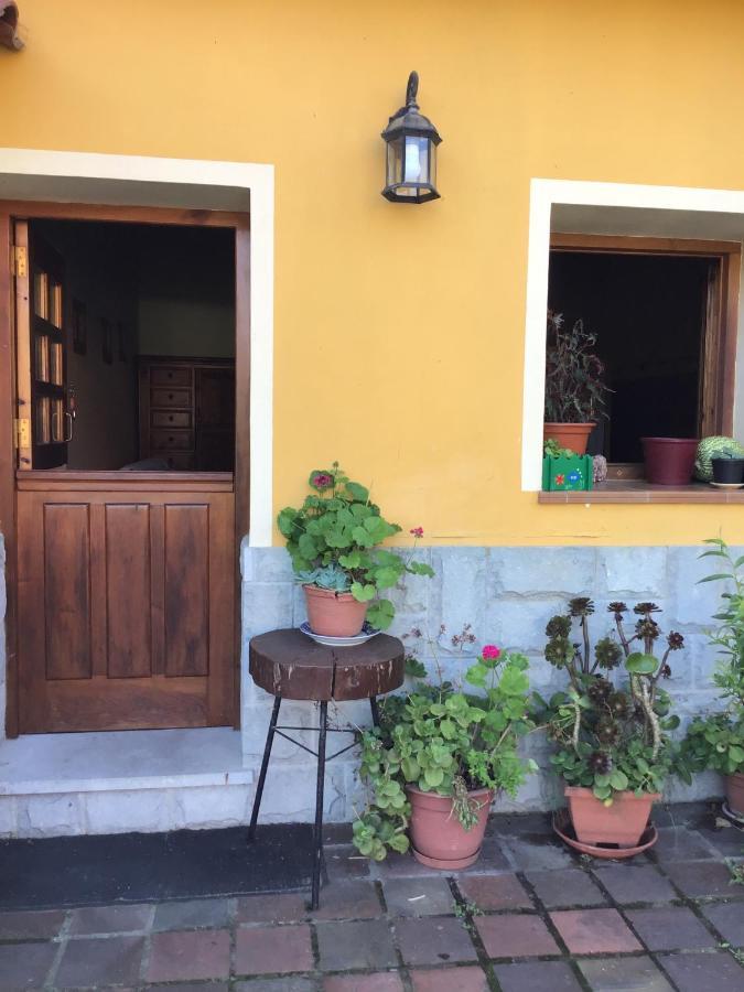 Apartamento Camangu-estudio