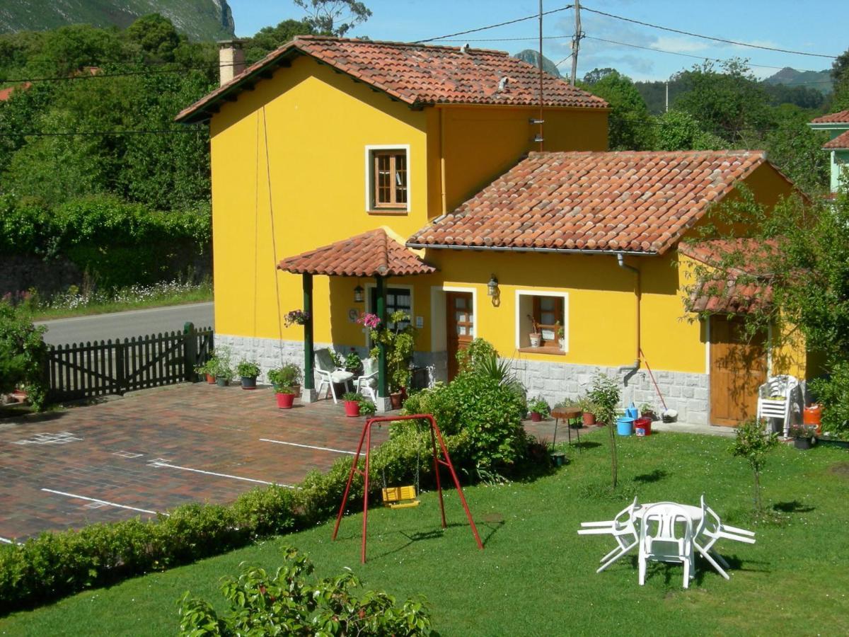 Camangu-estudio * Ribadesella
