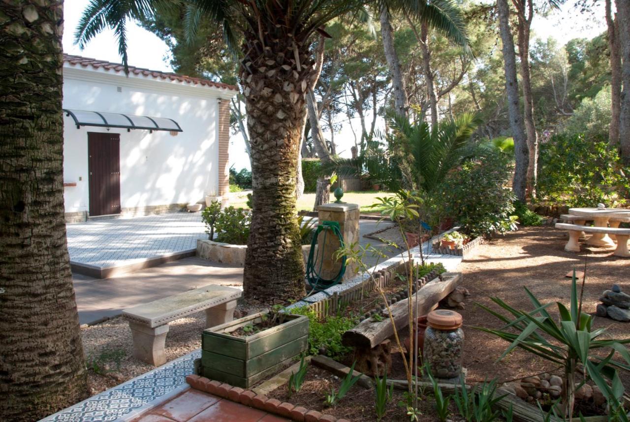 Sargantana Blava Sant Carles De La Rapita
