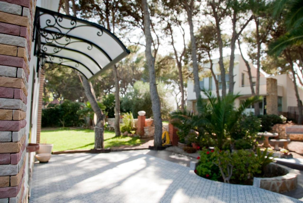 Sargantana Blava Sant Carles De La Rapita