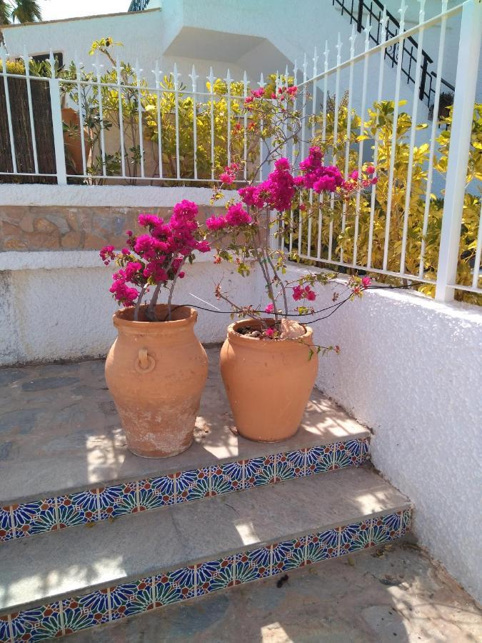 Romero Cabo Roig, Solarium Opcional *