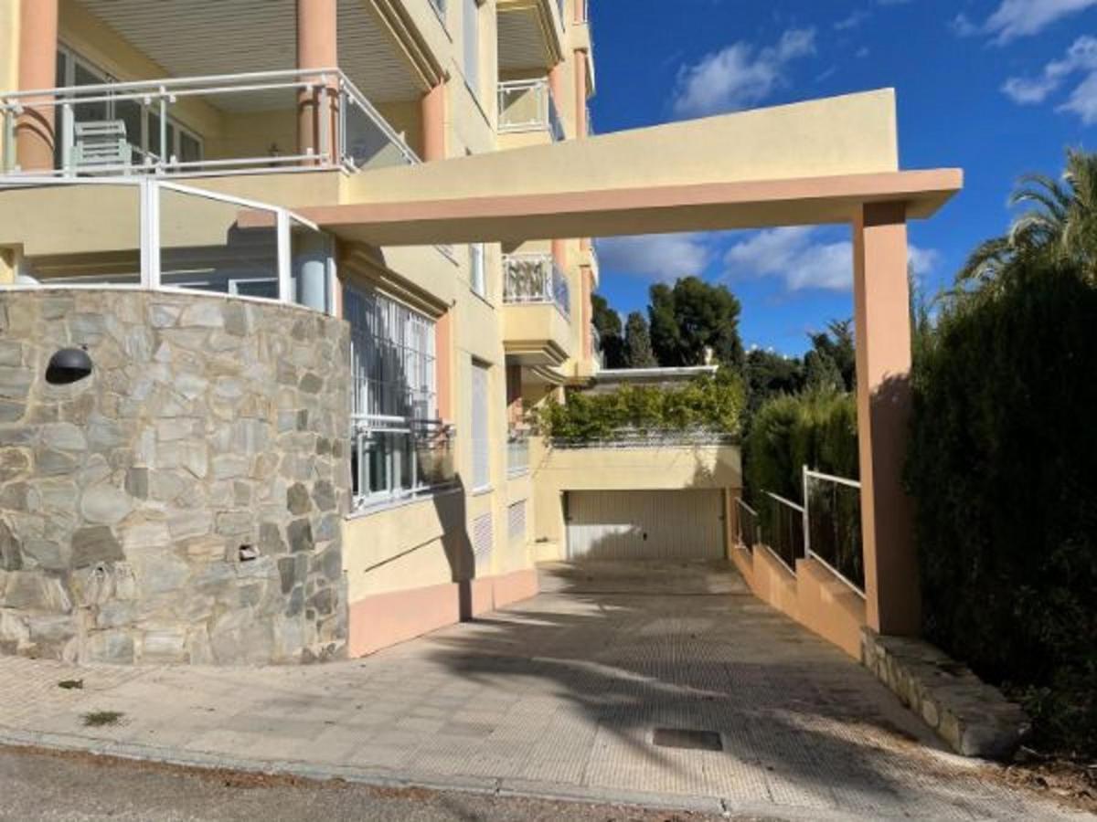 Palmeras Apartamento