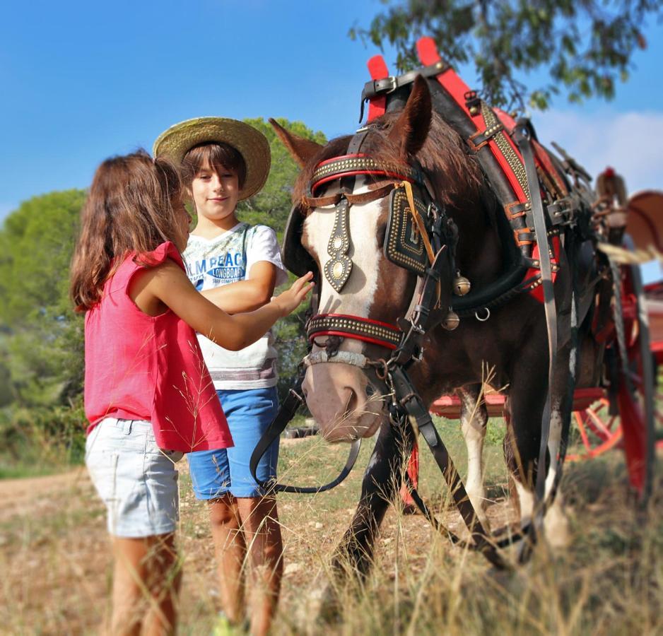 Ca La Lola - Experiencies Rurals Сasa de vacaciones