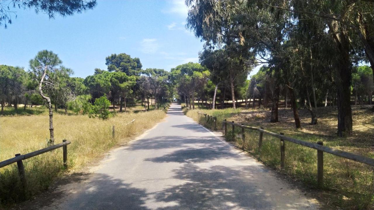 Apartamento En Urb La Marina San Fulgencio