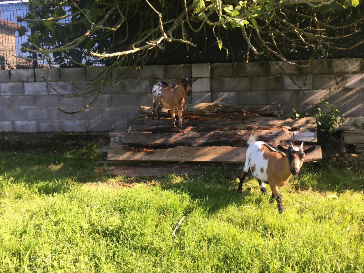 Ak-55 Rural House Villaviciosa (Asturias)