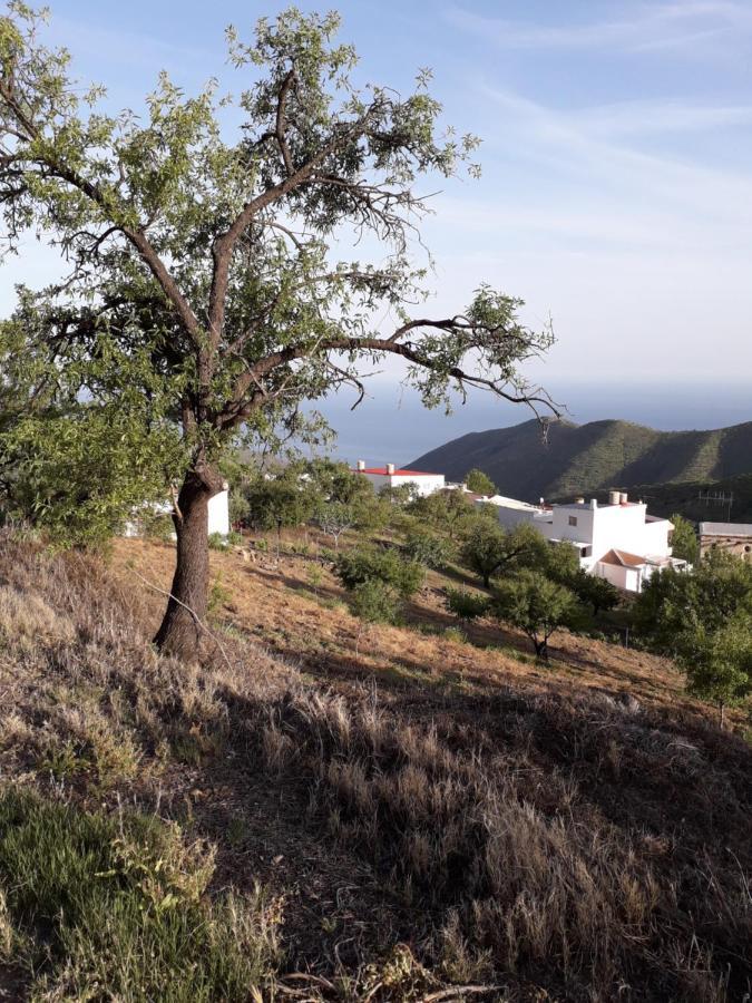 Casa Arte De
